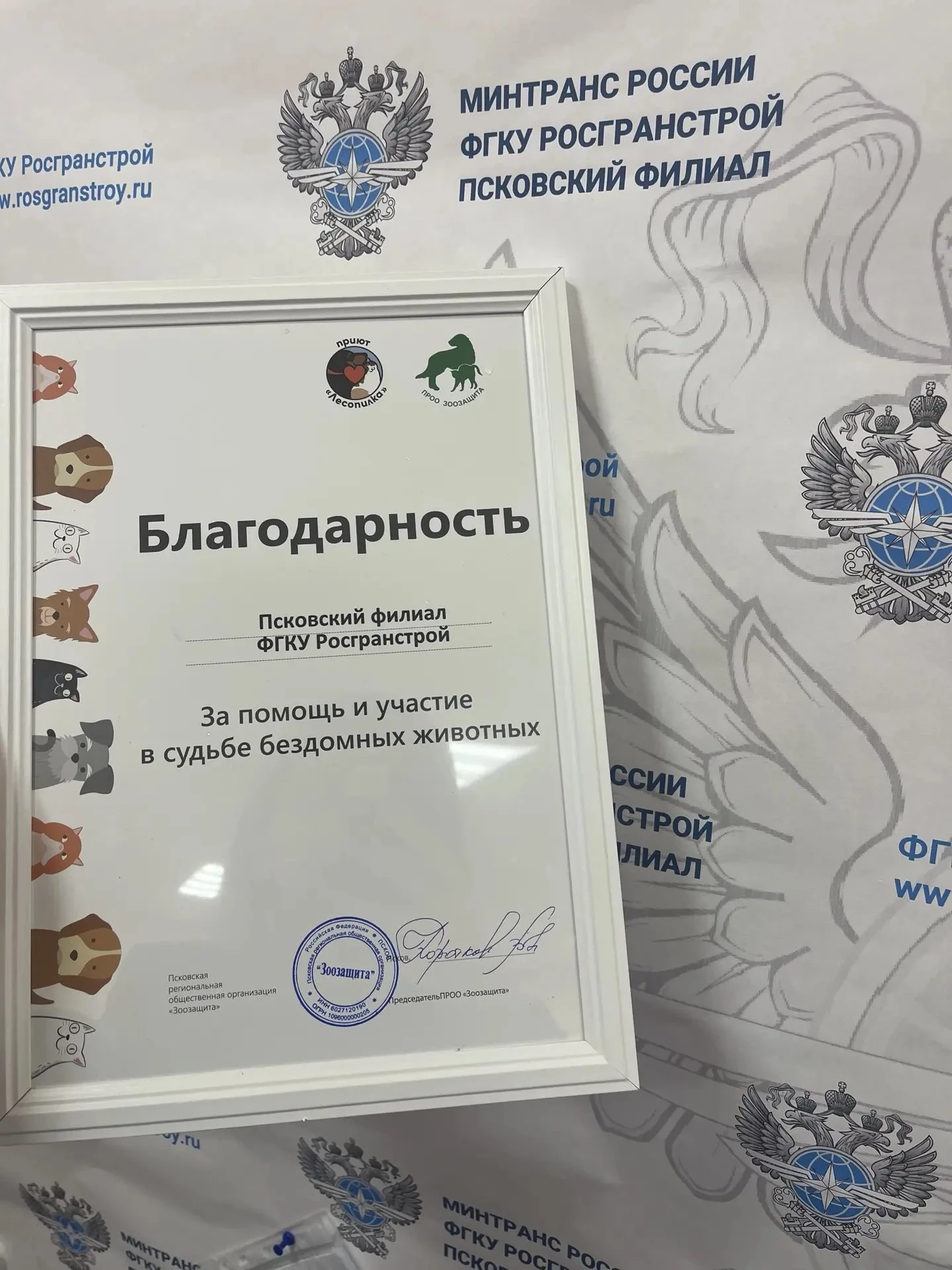 Работники Псковского филиала ФГКУ Росгранстрой оказали помощь приюту для бездомных животных