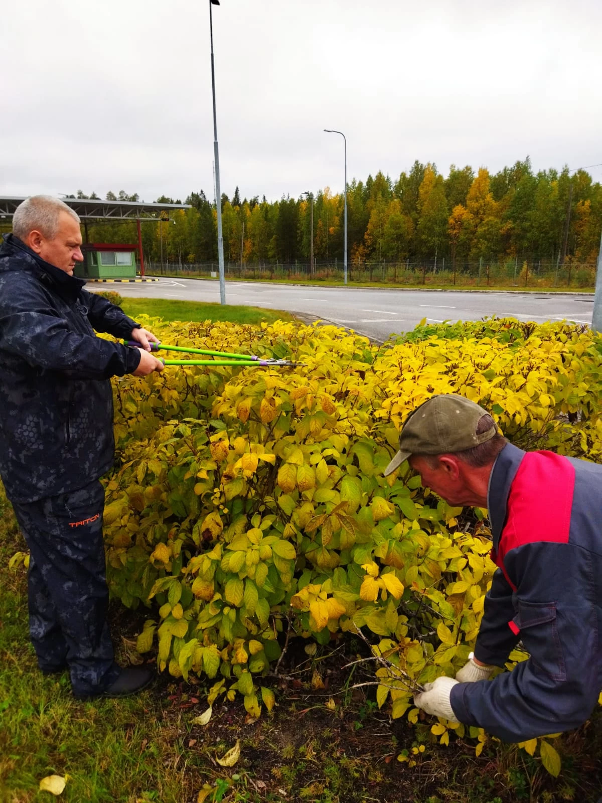 В пунктах пропуска через госграницу РФ в Ленинградской области и Карелии проведены субботники 