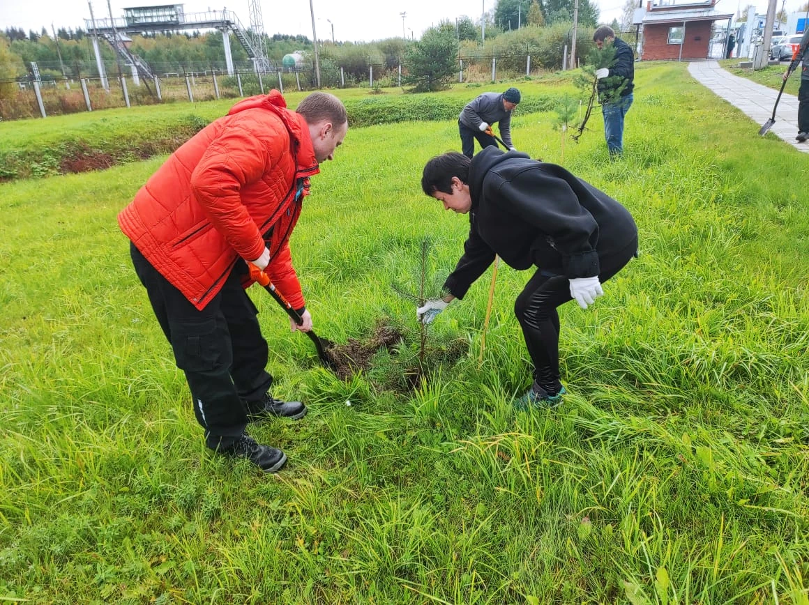 В пунктах пропуска через госграницу РФ в Ленинградской области и Карелии проведены субботники 