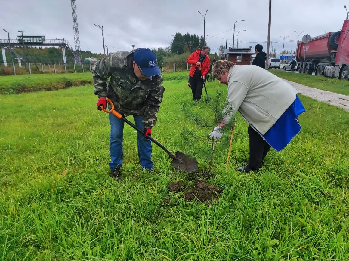 В пунктах пропуска через госграницу РФ в Ленинградской области и Карелии проведены субботники 