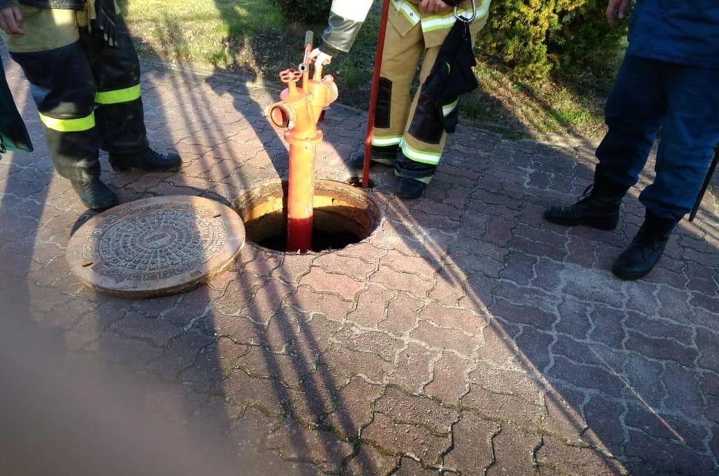 Представители Калининградского филиала ФГКУ Росгранстрой принял участие в пожарно-тактических учениях по отработке практических навыков пожаротушения 