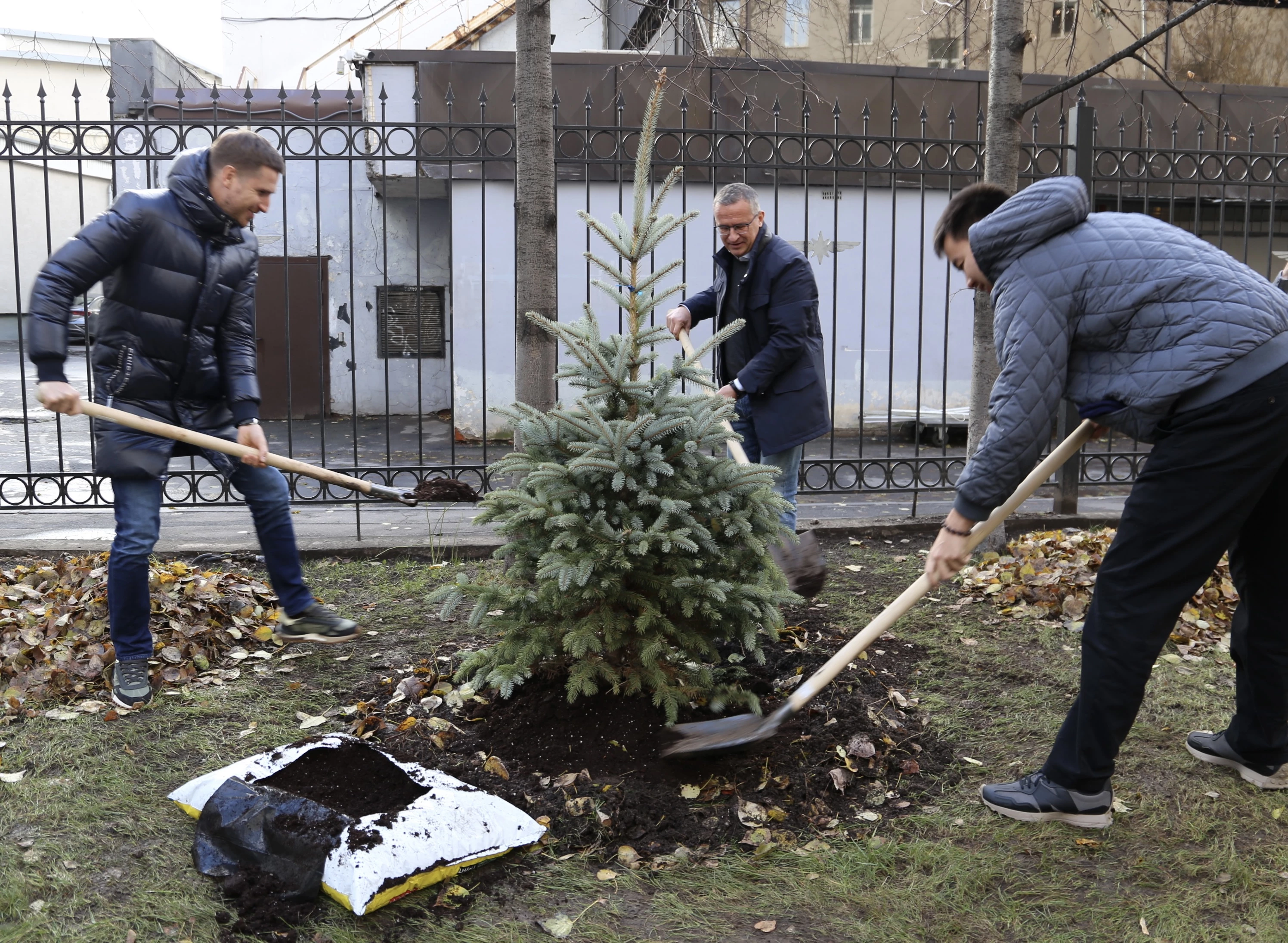 В Росгранстрое посадили ель в честь празднования  Дня народного единства